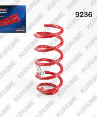 9236 - RESORTE POSTERIOR
