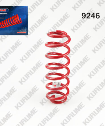 9246 - RESORTE POSTERIOR