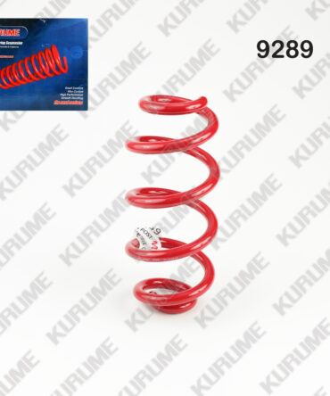 9289 - RESORTE POSTERIOR